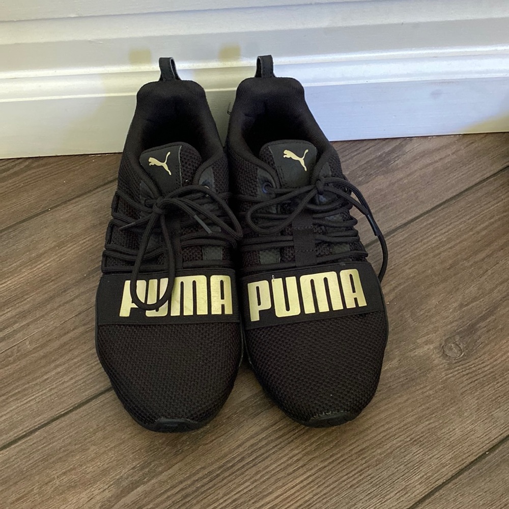 puma cell regulate winterized